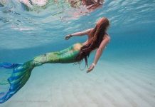 Nguồn gốc nàng tiên cá dưới góc nhìn khoa học