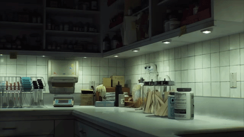 Nguyên mẫu đời thật “cực xịn” của bạch tuộc Hank trong bom tấn Finding Dory