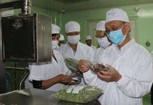 Bảo quản nông sản bằng "lai ghép" công nghệ sấy