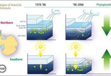 Thay đổi khí hậu ảnh hưởng đến đời sống trên bán đảo Nam Cực