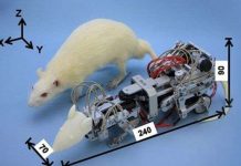 Chuột robot chuyên gây trầm cảm cho chuột thật