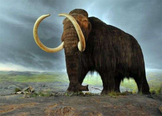 Sao chổi khởi đầu nền văn minh nông nghiệp