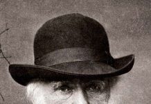 Có hay không cây ăn thịt người?