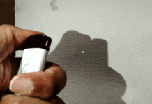 5 sự thật khiến bạn giật mình vì mình chẳng biết gì