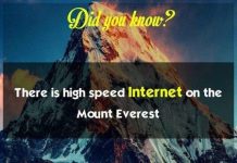 18 sự thật vô cùng thú vị có thể bạn chưa biết