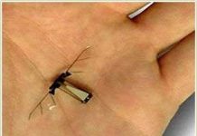 Sử dụng côn trùng làm gián điệp