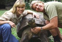 Con rùa già nhất thế giới qua đời