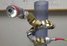 Robot rắn Robot rắn