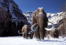 Nóng lên toàn cầu làm trễ kỷ băng hà tiếp theo