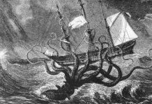 Mối thù truyền kiếp của đại dương: Mực khổng lồ và cá nhà táng