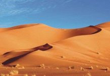 Thủ phạm biến thảo nguyên Sahara thành sa mạc khô cằn