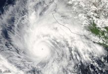 Tại sao bão Thái Bình Dương hiếm khi tấn công nước Mỹ?