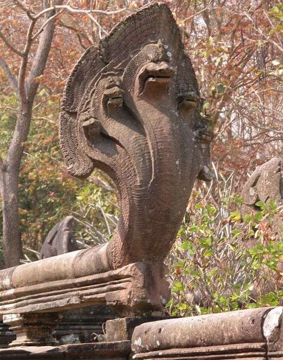 Rắn và tục thờ thủy thần của người Việt