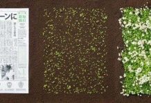 Những tờ báo in biến thành thảm hoa ở Nhật