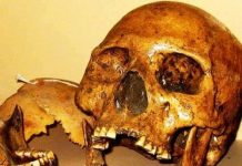 Sự thật về người khổng lồ tóc đỏ bí ẩn ở hang Lovelock