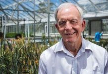 Phương pháp quang hợp giúp ngành nông nghiệp phát triển