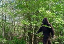 Học sinh châu Phi hoảng loạn vì "sinh vật hình nhân"