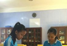 Hết sâu răng với nước súc miệng từ lá bàng non của học sinh Huế