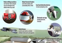 Mô hình trang trại công nghệ cao tại Anh