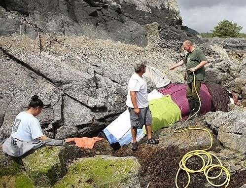 Giải cứu cá voi sát thủ mắc cạn trên bãi đá