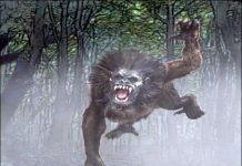 Bí ẩn loài quỷ hầu khiến con người mất ăn mất ngủ Bí ẩn loài quỷ hầu khiến con người mất ăn mất ngủ