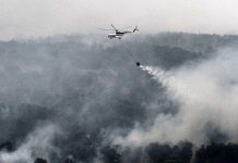 Khói mù ở Indonesia khiến 100.000 người chết sớm