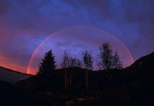 Có tới 12 loại cầu vồng và không phải lúc nào cũng có đủ 7 màu cơ bản