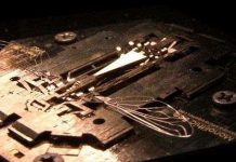 Mỹ chế tạo ong robot đầu tiên