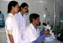 Nghiên cứu tế bào gốc: Còn xa để "thay quyền tạo hóa"!