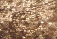 Hình vẽ khổng lồ ở Kazakhstan nhìn thấy từ vũ trụ Hình vẽ khổng lồ ở Kazakhstan nhìn thấy từ vũ trụ