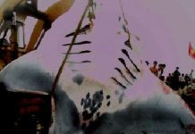 Cá khổng lồ sa lưới ngư dân Cá khổng lồ sa lưới ngư dân