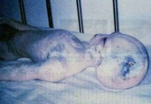 Các nhà khoa học muốn ăn thịt người ngoài hành tinh?