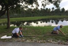 Mỹ: Bất ngờ phát hiện trăn "khủng" cùng 39 quả trứng