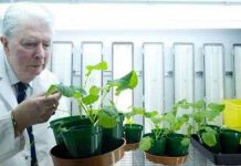 Thu phân đạm từ không khí