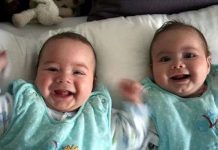 Cặp song sinh cùng mẹ khác cha