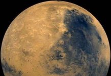 Tạo ra sinh vật giúp con người định cư trên sao Hỏa