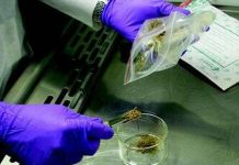 10 cổ vật kì lạ lâu đời nhất thế giới