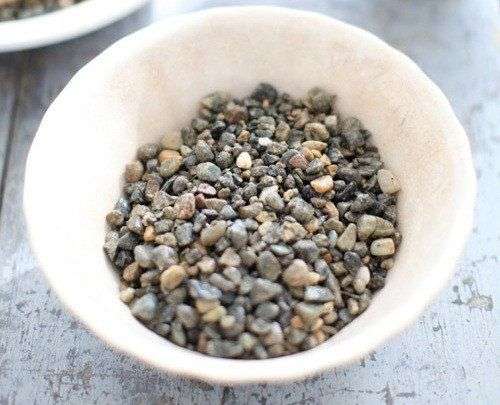 Cách trồng hoa thủy tiên đón Tết cho năm mới an lành