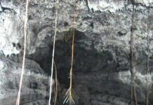 Xương trong ống dung nham tiết lộ lịch sử tự nhiên của Ha-oai