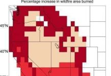 Cháy rừng sẽ gia tăng do khí hậu ấm lên