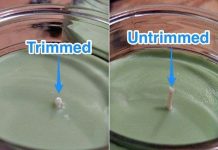 Hầu hết chúng ta lâu nay đều thắp nến không đúng cách