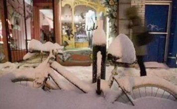 Mưa bão tại Bắc Mỹ, nắng hạn kỷ lục ở Đức