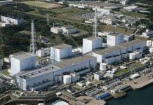 Vùng biển gần Fukushima nhiễm xạ gấp 1.000 lần