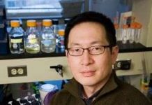 Vi khuẩn tự tiêu diệt bản thân để…sống sót