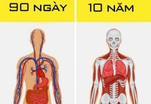 Cơ thể người có thể làm được những điều này thì thật sự quá kinh ngạc