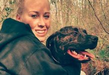 Mỹ: Những lý do đáng sợ khiến chó pit bull giết và ăn thịt chủ