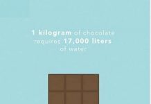 Cần bao nhiêu nước để sản xuất ra 1kg thức ăn cho bạn?