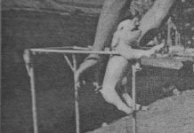 Giá đỡ chăm sóc heo con