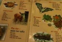 Hơn 50% dân số TP.HCM sử dụng thịt hoang dã