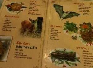 Hơn 50% dân số TP.HCM sử dụng thịt hoang dã